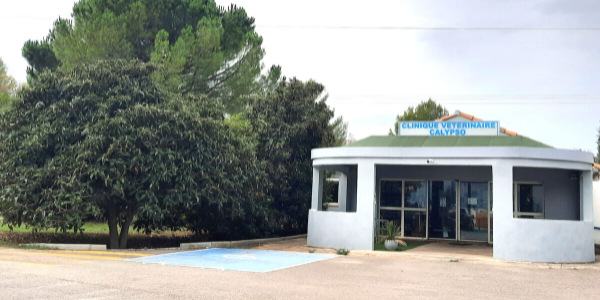 Facade-La-Calypso