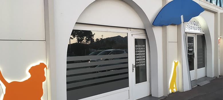 clinique-veterinaire-de_la_plage_02